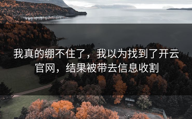 我真的绷不住了，我以为找到了开云官网，结果被带去信息收割